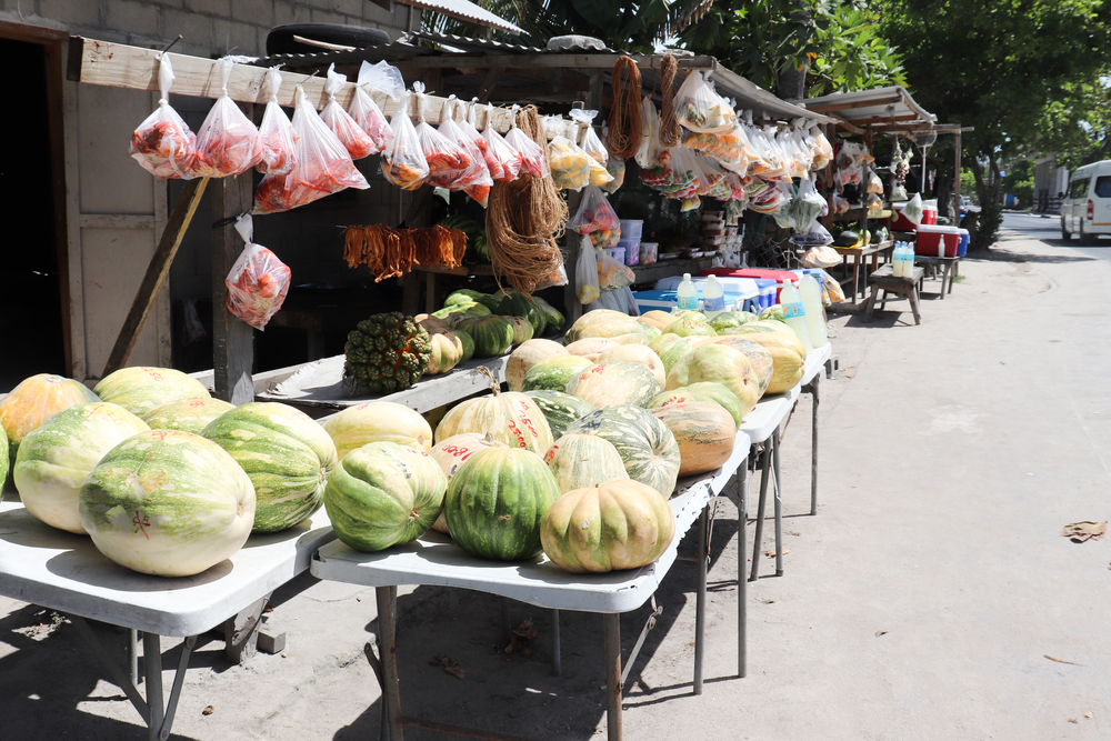 A pumpkin can cost $20, and a watermelon can cost $32 in Kiribati © Joanne Lillie/MSF