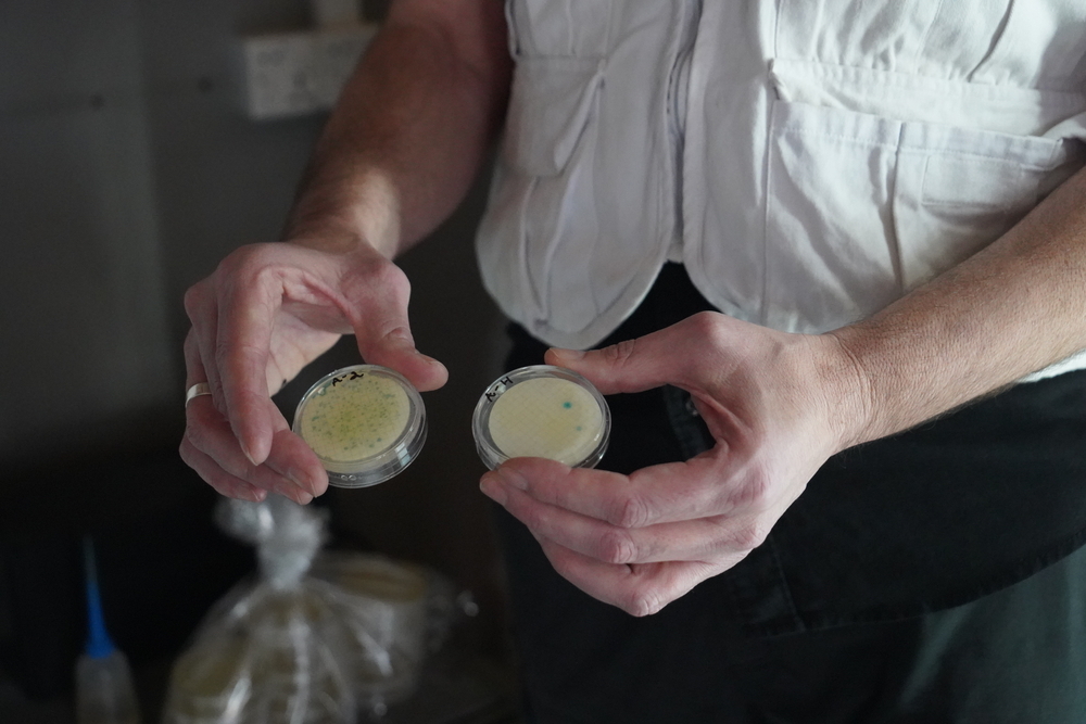 布萊頓大學的埃布頓（James Ebdon）教授正在展示兩個培養皿，用於鑒定糞便污泥中是否存在病毒。© Mohammad Hossein/MSF