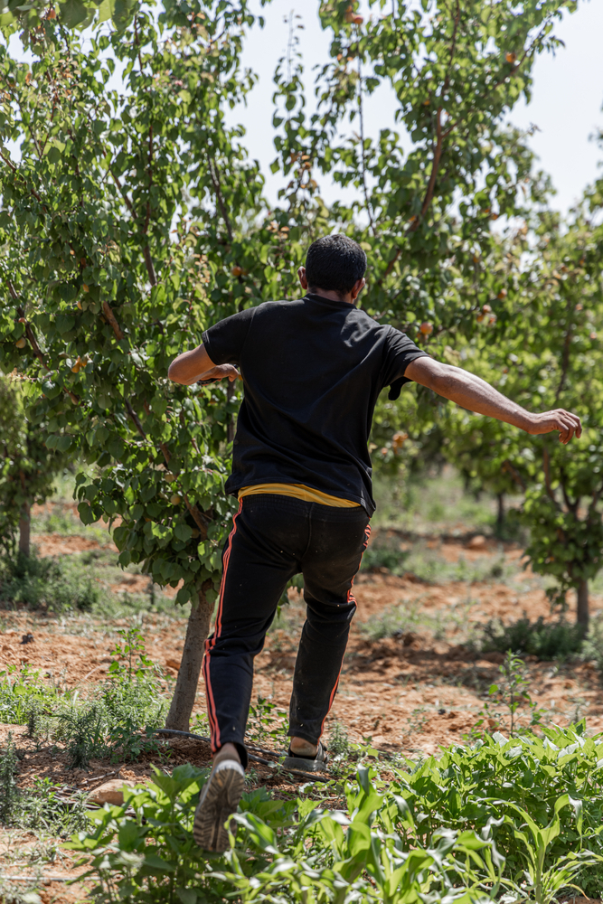 "At the sound of any noise in the night, young men run to hide in the orchards for fear of arrest and deportation," says a Syrian refugee in northeast Lebanon. © Carmen Yahchouchi for MSF