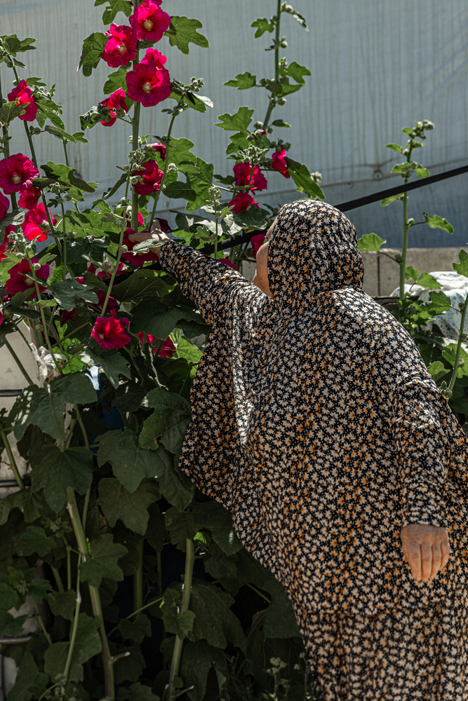 Despite her battles with diabetes and hypertension, Syrian refugee Dina [name changed], finds solace and strength in tending to her beloved flowers. © Carmen Yahchouchi for MSF