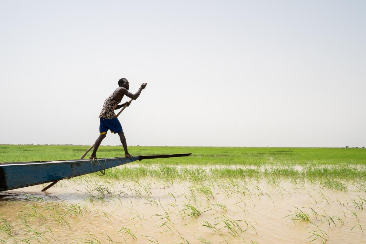 一名船夫橫渡在通布圖地區的尼日爾河。